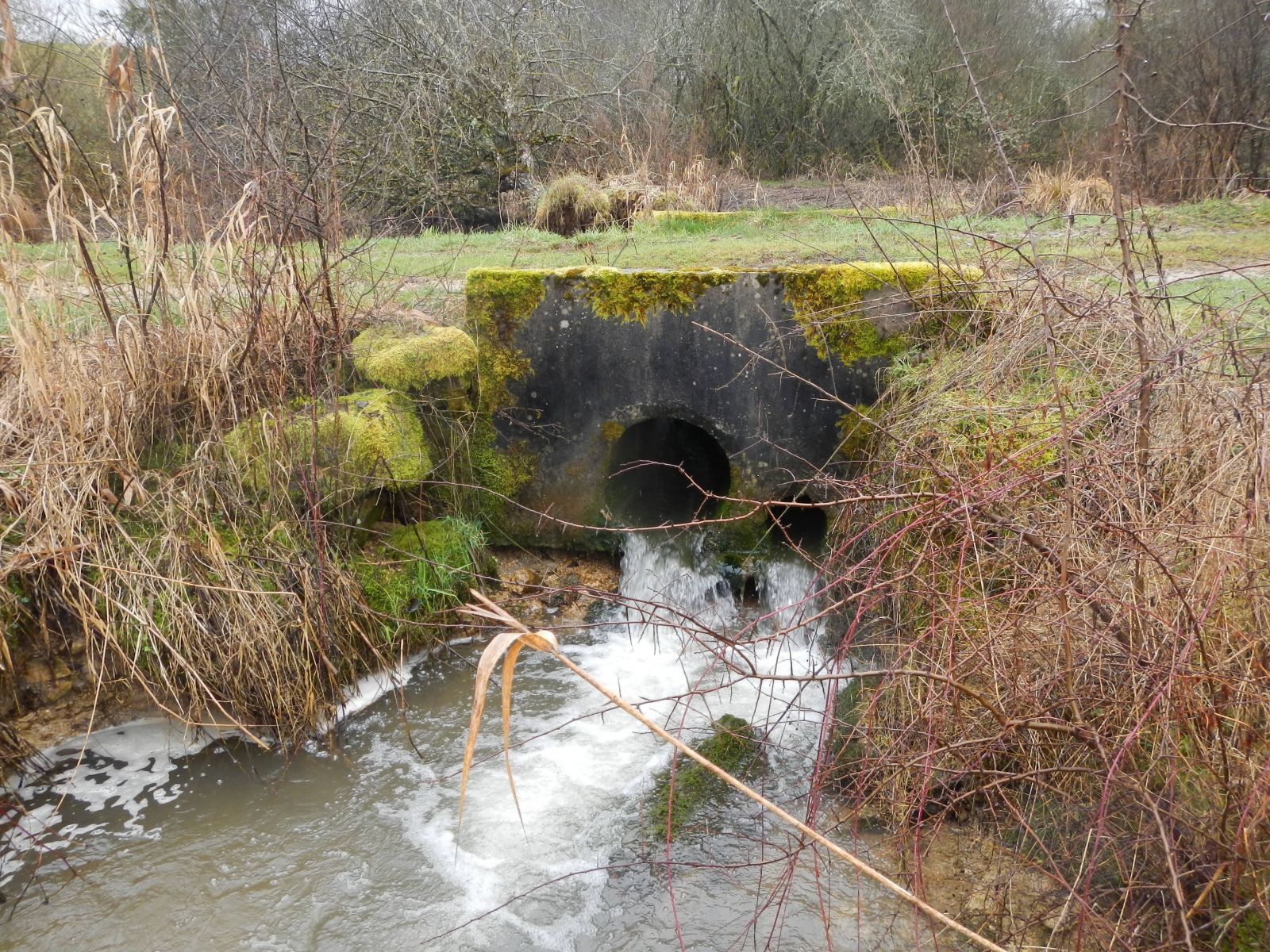 Rétablissement de la continuité écologique par l'aménagement de 2 ouvrages hydrauliques sur le ruisseau des Sointures à Leffonds (Avant)