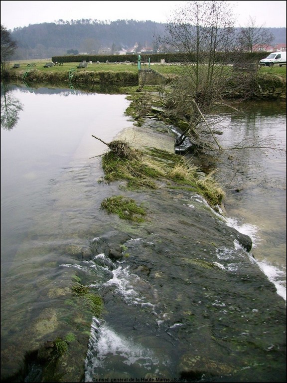 Restauration d'un seuil avec création d'une passe à poisson et à canoë-kayak (Chaumont, Val des Choux) : Avant